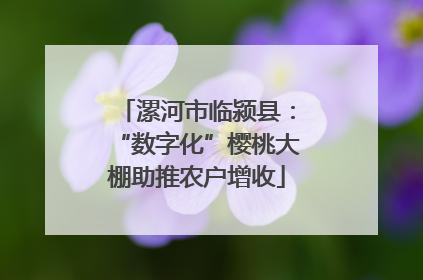 漯河市临颍县：“数字化”樱桃大棚助推农户增收